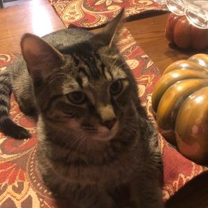 Meet your Posher, Sharon